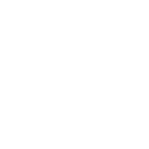 FYRio logo